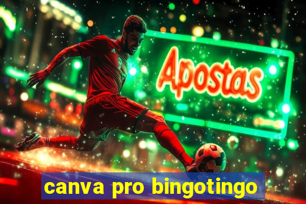 canva pro bingotingo